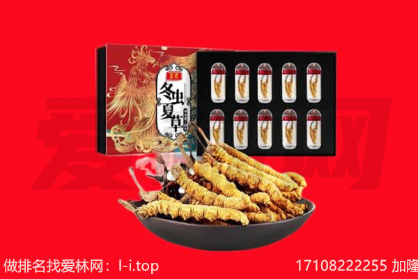 韶关市乐昌回收虫草.jpg